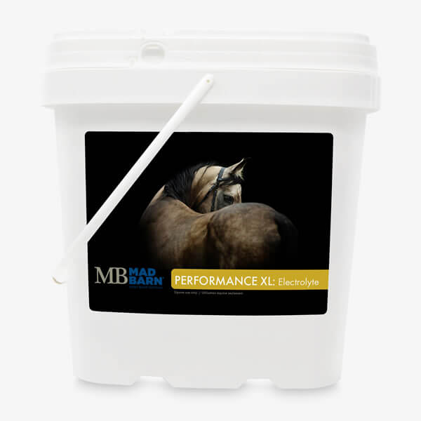 Mad Barn Performance XL Electrolytes 5 Kg