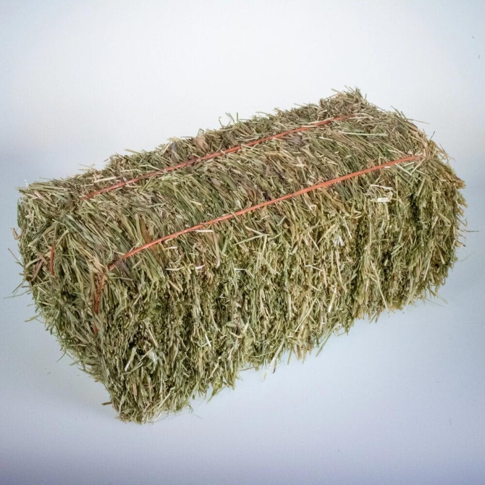 Hay Rye Grass 12 CP 60 NDF Equine Nutrition Analysis Feed Bank