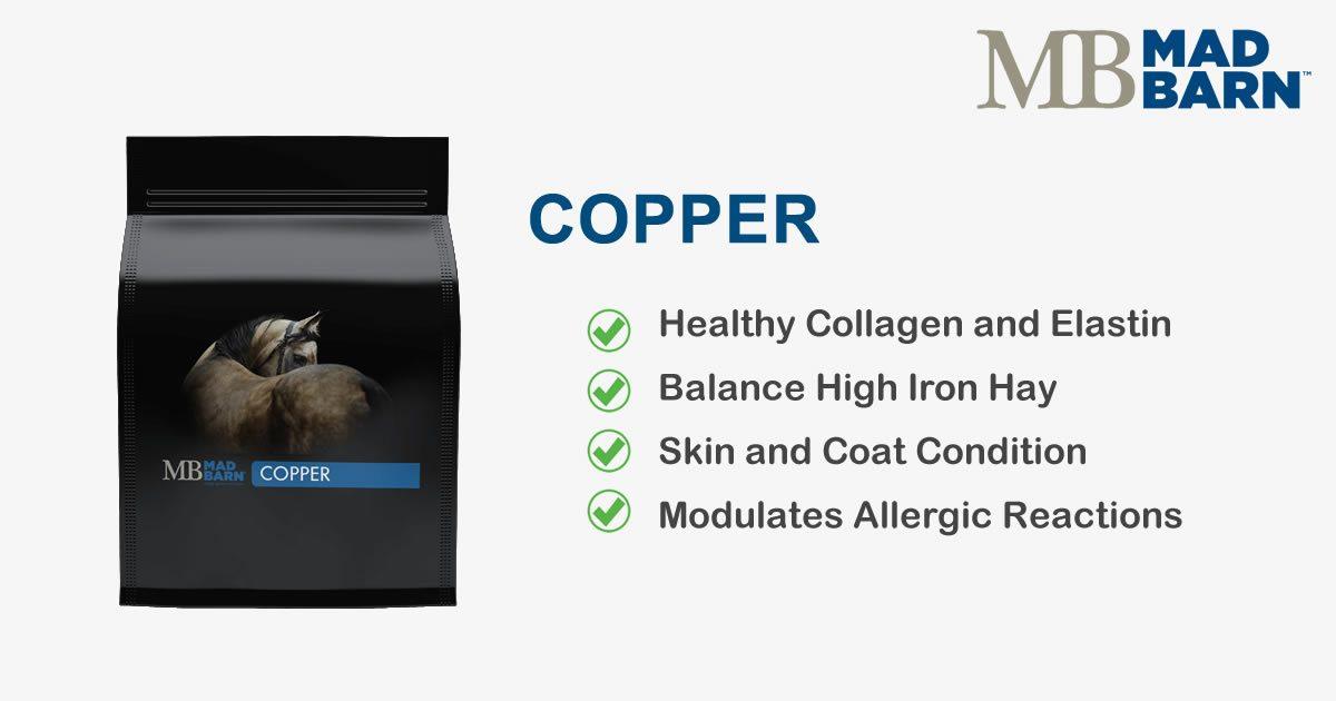 Copper Powder for Horses Equine Supplement Mad Barn Canada