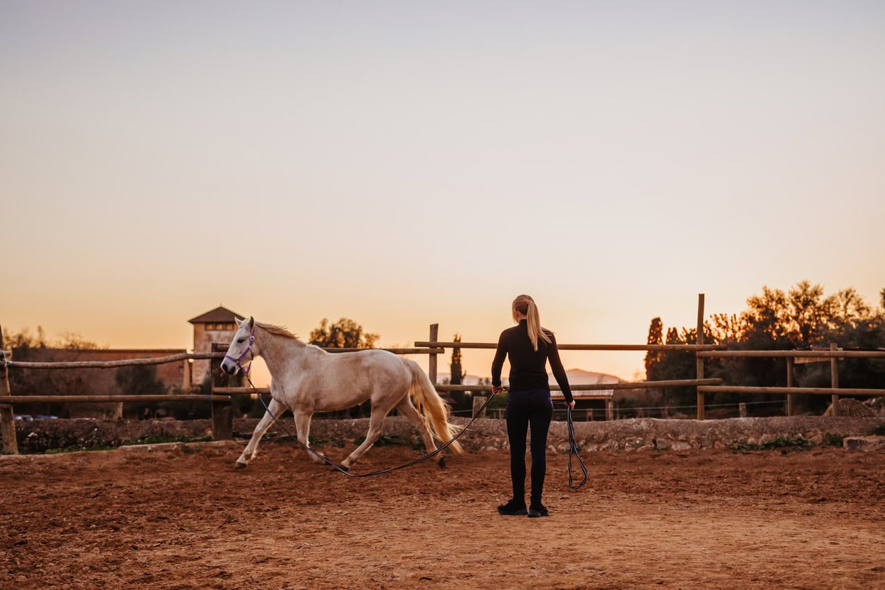 Turning Your Horse Farm into a Tourist Attraction – How Keep Horses Healthy Turning Your Horse Farm into a Tourist Attraction – How Keep Horses Healthy