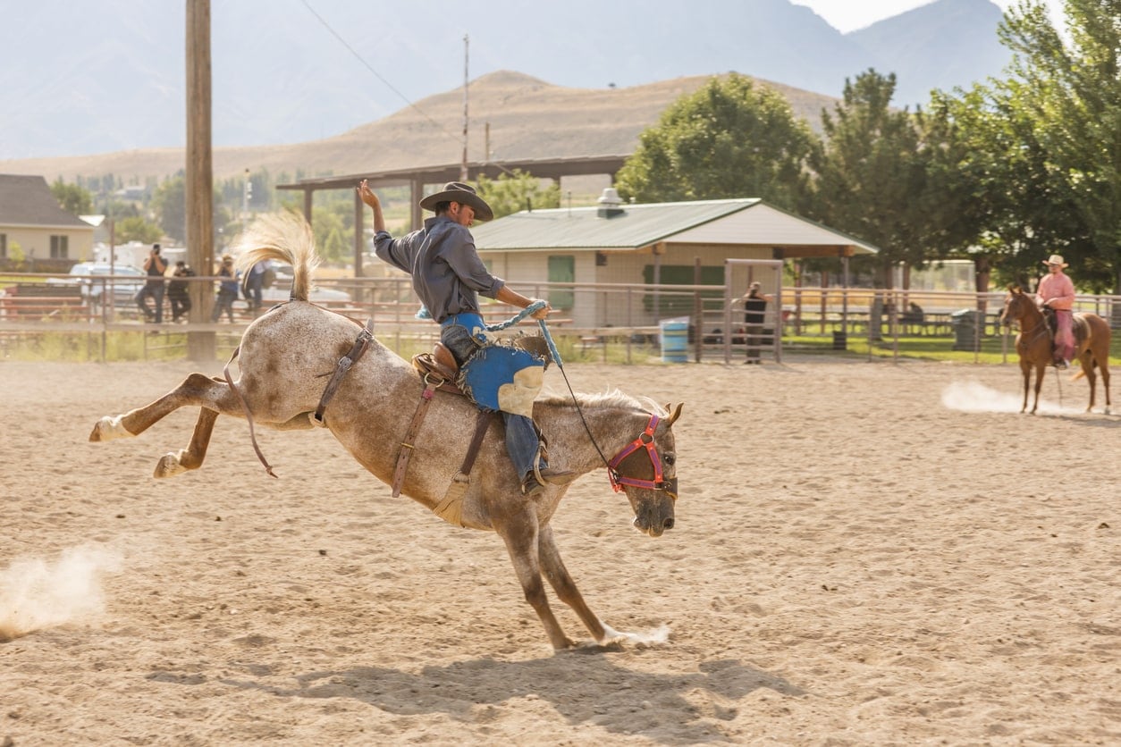 image of a cowboy riding a bucking bronco