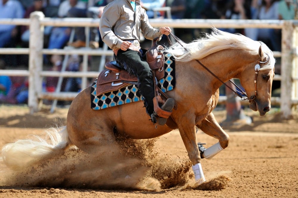 image of a horse and rider performing a sliding stop during a reining competition