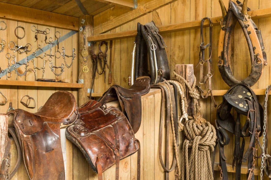 How to Organize a Tack Room: Storage Tips for Equestrians and Horse ...